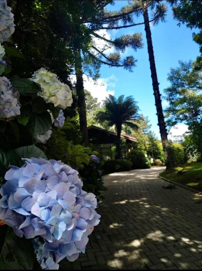 Vila Casa Goldoni Gramado Exteriér fotografie