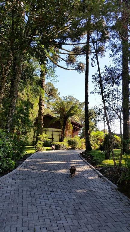 Vila Casa Goldoni Gramado Exteriér fotografie